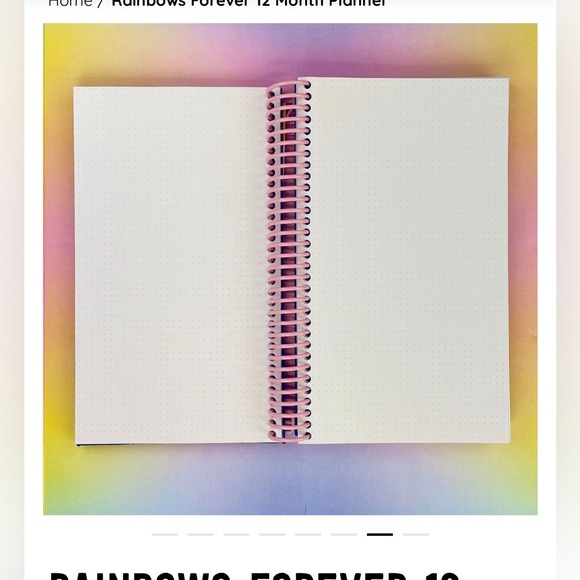 Pipsticks 12 Month Rainbow Planner 🌈 undated monthly planner ⚡️ - Picture 10 of 11
